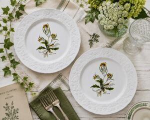 Dansk Lierre Sauvage France Botanical 10” Dinner Plates Set of 2